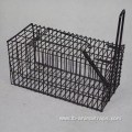 Single Door Trapping Wild Life Wire Animal Trap